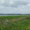 Tour 14: Darß - 3